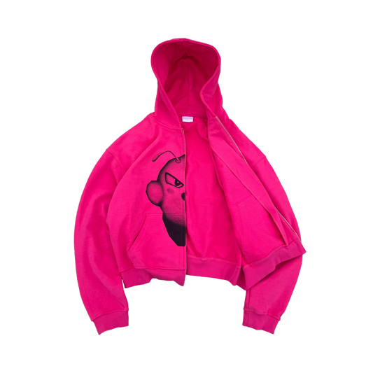 The Pink Hoodie