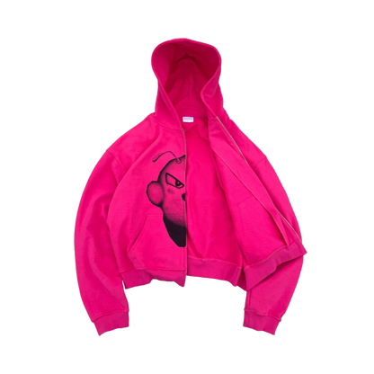 The Pink Hoodie